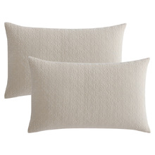 Kayo Stonewashed Cotton Standard Pillow Shams (Set of 2)